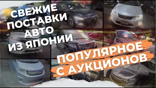 Привезли много 🤯 АВТО с аукционов Японии! Insight, Forester, Alphard, Juke NISMO, куча FREED, Lexus