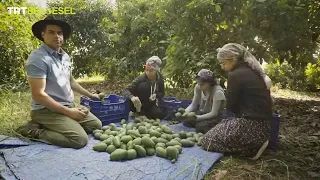 Ailenin Yeni Üyesi  Türkiye ANTALYA