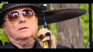 Van Morrison - Up on Cyprus Avenue