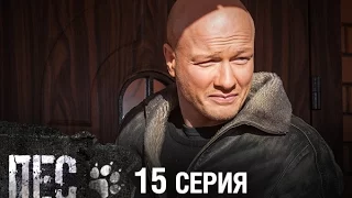 Сериал Пес - 15 серия