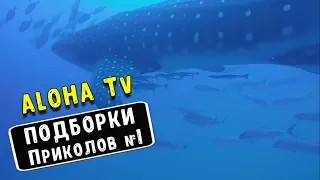 СМЕШНЫЕ ВИДЕО 2018 НОЯБРЬ Смешная подборка лучших приколов 2018 # 1