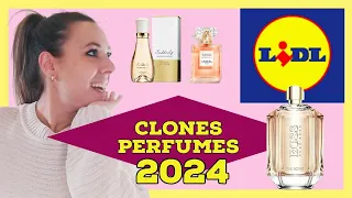 CLONES perfumes LIDL 2024 🌺