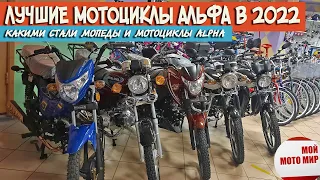 Какие выбрать мотоциклы Альфа в 2022 году? Лучшие мопеды Alpha от Motoland