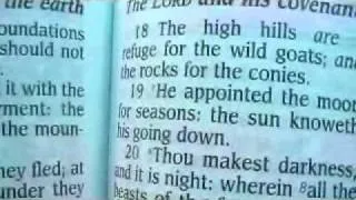 Psalm 104 King James Holy Bible
