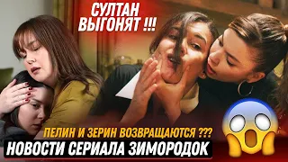 2 СЕЗОН Новости СЕРИАЛА ЗИМОРОДОК 42,43 СЕРИЯ - Султан выгоняют, ПЕЛИН И ЗЕРИН ВОЗВРАЩАЮТСЯ???