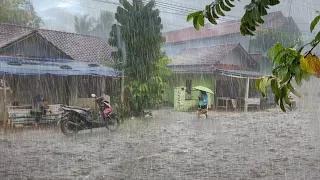 Heavy Rain Falls Almost Every Day in My Village  Rain Walk  ASMR   Rain Sounds For Sound Sleep