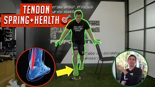Exercise Progressions for Healthy and Springy Tendons! Durability Code 🔑