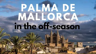 Palma de Mallorca in The Off Season: 13 Fantastic Things To Do