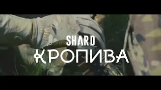 SHARD - Кропива