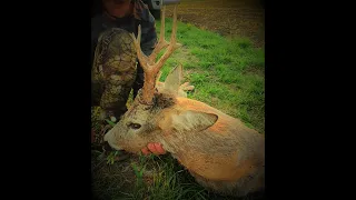 Roe deer hunting in Romania 6 Rehbock Jagd in Rumänien 6 Chasse des brocards en Roumanie 6