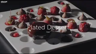 Ode50 Plated Dessert - Silikomart Professional