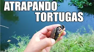 Atrapando Tortugas