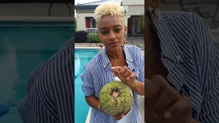 Tips on how to choose your breadfruit
