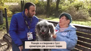 Крематорий для домашних животных в Одессе//Цена за услугу /Коммент чиновника /Реакция собачников