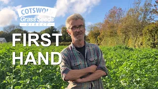 Rye & Vetch, Winter Cover Crop, Herbal Leys & Bespoke Clover with Mike Fisher - Cotswold Seeds