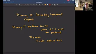 Primary and Secondary Lymphoid Organs