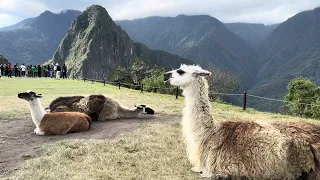 Machu Pichu