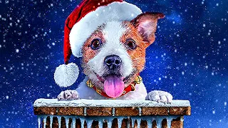 Le Chien du Père Noel | Film Complet en Français | Famille