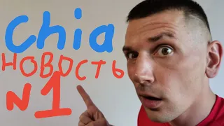 Chia - Hpool, НЕТ смысла теперь УХОДИТЬ!!! Хана другим пулам Чиа / Чиа майнинг (Chia / XCH)