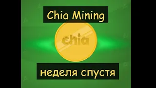 Chia mining "неделя спустя"