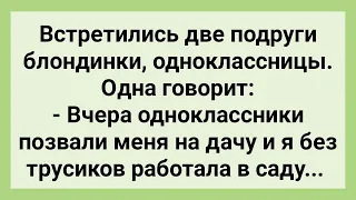 Блондинки без Трусиков на Даче! Сборник Свежих Смешных Жизненных Анекдотов!