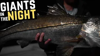 CATCHING HUGE SNOOK AND SNAPPER UNDER BRIDGES Winter Time Jig Fishing