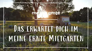 Gemüsegärten zum Mieten - das erwartet dich im meine ernte Garten🥕