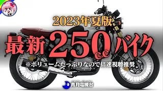 【最新250ccまとめ】コスパも良くてガンガン乗れる！今買える250cc23台まとめ【ゆっくり解説】