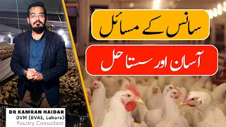 Cheap Treatment of Sneezing, Coughing, Gasping, Cold, Flu & Fever in Chickens, Ducks, Aseels & Birds