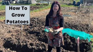 How To Plant Potatoes On A UK Allotment - Grow Potatoes