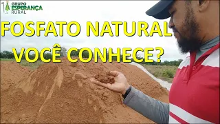 Fosfato Natural e o Seu Uso em Pastagens Degradadas | Prof. Otávio Luz