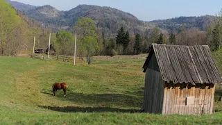 Timeless Peaks: Living and Surviving with a Family in the Heart of the Wilderness