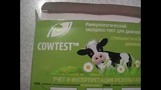 Тест на стельность корове по моче. Cowtest