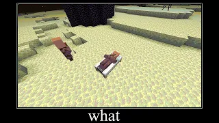 Minecraft wait what meme part 29 (The inhabitant sleeps in the edge)