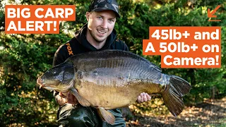BIG Carp Alert! Harry bags a mid-40 + a 56lber on camera! | Carp Fishing 2020