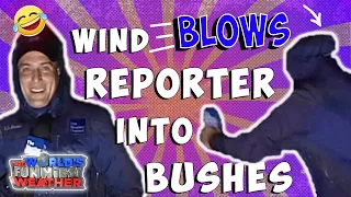 Wind Blows reporter into bushes