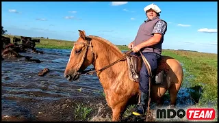 VUELVE EL PROFESOR DEL PINO A VIDA CAMPESTRE