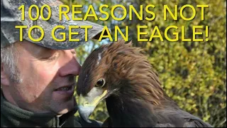 FALCONRY: Why you shouldn’t get an eagle to fly!