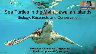 "Sea Turtles in the Main Hawaiian Islands - Biology, Research and Conservation"