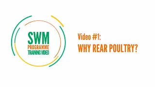 Training video #1 Why rear poultry? - #SWMProgramme
