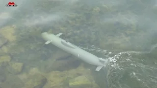 Dumas Akula Submarine Kit Russian nuclear attack sub at Lower Seletar Reservoir