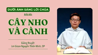 Bài 65: Cây nho và cành | Dưới ánh sáng Lời Chúa