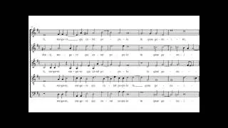 Lassus   Alma Redemptoris Mater [a 5]