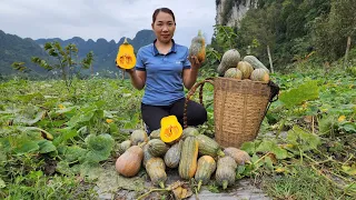 Harvest Pumpkin Goes to the market sell - Cooking - Bring water to farm using bamboo pipes