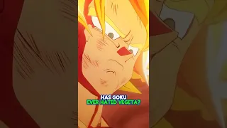 Has Goku ever Hated Vegeta?!