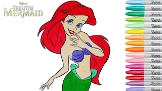 Disney Princess Coloring Book The Little Mermaid Ariel Colouring Pages