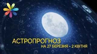 Гороскоп с 27 марта по 2 апреля от 4 экстрасенсов + субт. – Все буде добре. Выпуск 989 от 27.03.17