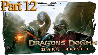 Dragons Dogma: Dark Arisen | Part 12 [German]