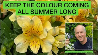 KEEP THE COLOUR COMING ALL SUMMER – Create a garden with colour and interest right through the year