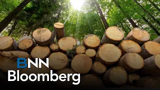 There should be no U.S. tariffs on Canadian softwood lumber: President